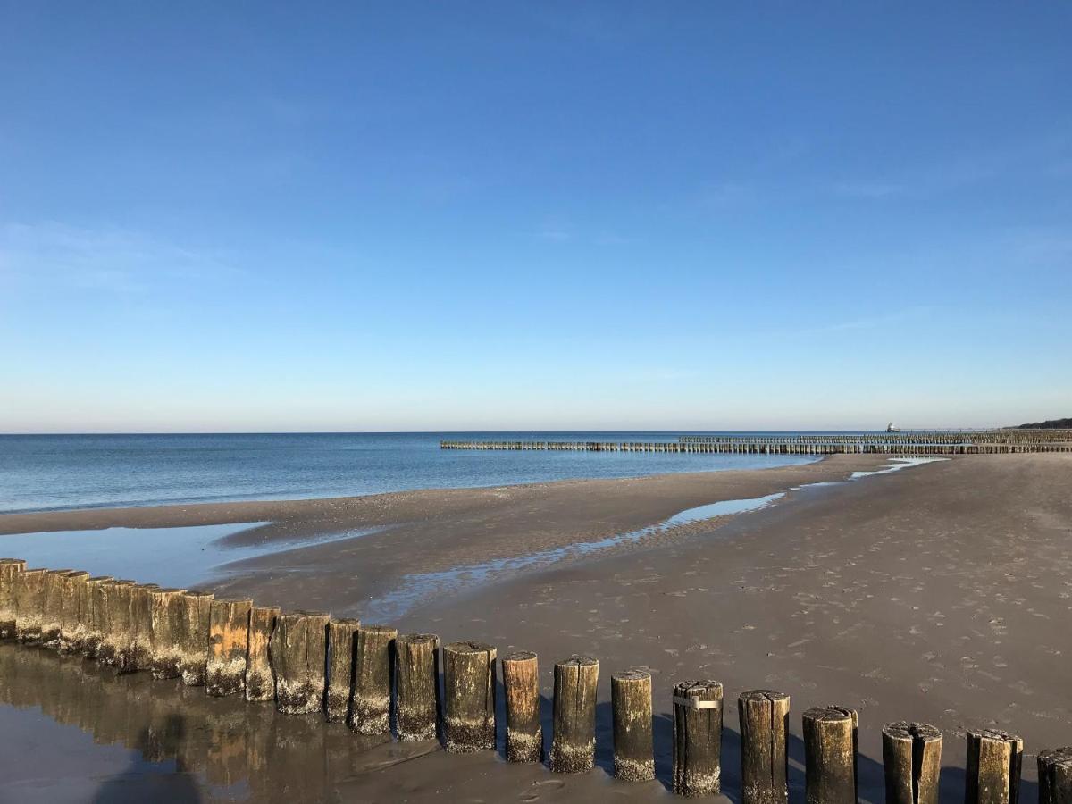 Ferienwohnung Traumhaus unter Reet Ostseeheilbad Ostseeheilbad Zingst Exterior foto