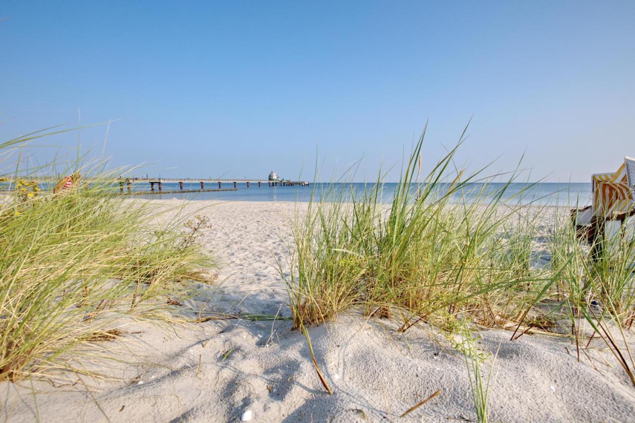 Ferienwohnung Traumhaus unter Reet Ostseeheilbad Ostseeheilbad Zingst Exterior foto